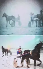 Astrid Nippoldt, Escapade. Konvolut von 2 Filmstills, 2003, Jeweils: C-Print auf Folie