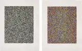 Tauba Auerbach, 50:50 Random (Fine); and A Half Times A Half Times A Half (Coarse), 2008, Two etchings with aquatint in colours, on Somerset paper, with full margins,