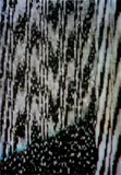 Tauba Auerbach, Static 14, 2009, Chromogenic print, on photo paper flush-mounted to aluminium (as issued), the full sheet,