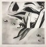 James Rosenquist, Zone, 1972, Lithograph, on Hodgkinson hand-made Wookey Hole paper, with full margins,