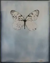 Untitled by Adam Fuss, 2012, Daguerreotype, sold May 2016