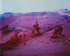 Endless Plain of Fortune by Richard Mosse, 2011, Chromogenic print, sold May 2016