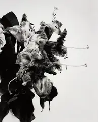From Close to Range by Nobuyoshi Araki, 1991, Gelatin silver print, printed later, sold May 2016