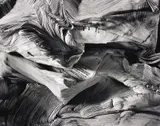 Abelardo Morell, Detail of Book Damaged by Water