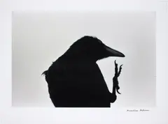 Masahisa Fukase, 襟裳岬 [Erimo Misaki] Cape Erimo from 鴉 [Karasu] Ravens, 1976, Gelatin silver print, printed 1986