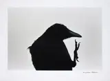 Masahisa Fukase, 襟裳岬 [Erimo Misaki] Cape Erimo from 鴉 [Karasu] Ravens, 1976, Gelatin silver print, printed 1986
