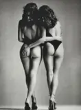 John Swannell, Fine Lines