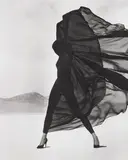 Herb Ritts, Versace, Veiled Dress, El Mirage