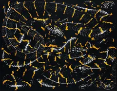 Boiga Dendrophila Melanota from Serpens by Guido Mocafico, 2003, Chromogenic print, printed 2007, sold Nov 2016