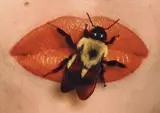 Irving Penn, Bee on Lips, New York