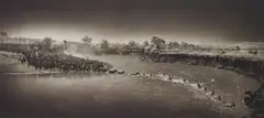 Zebras crossing river, Maasai Mara by Nick Brandt, 2006, Archival pigment print, sold Nov 2016