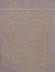 Tauba Auerbach, Untitled (Fold) X, 2009, acrylic on canvas