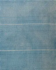 Untitled by Hugh Scott-Douglas, 2012, cyanotype on linen, offered Feb 2015