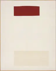 Ethan Cook, Untitled #36, 2013, hand woven cotton canvas, in artist's frame