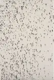 Lucien Smith, Untitled (Black 3), 2012, acrylic on unprimed canvas