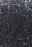 Scott Reeder, Untitled (Pasta Painting), 2013, acrylic, enamel on canvas