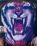 Piotr Uklański, Untitled (Tiger, Bursting)