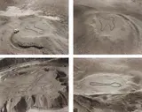 Four Works: The Sarzedo Series (Sock, Scissors, Tooth, Spoon) by Vik Muniz, 2002, four toned gelatin silver prints, sold Feb 2015