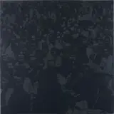 Wayne Gonzales, Seated Crowd, 2007, acrylic on canvas