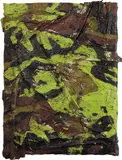 Angel Otero, Untitled (SK-DV) from the series CAMOUFLAGE