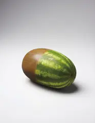 Wood 'N' Melon by Gavin Turk, 2001, painted bronze, sold Feb 2015