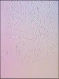 Michael Staniak, IMG_686 (holographic)