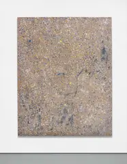 Fredrik Værslev, Untitled (Terrazzo), 2011, spray paint, house paint, corrosion protective spray lacquer, white spirit on canvas