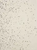Lucien Smith, Three's a Crowd/Third Time's the Charm, 2012, acrylic on unprimed canvas
