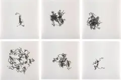 N. Dash, Untitled, 2010, six gelatin silver prints