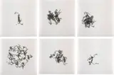 N. Dash, Untitled, 2010, six gelatin silver prints