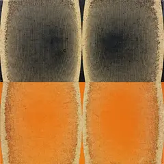Untitled (Black Orange) by Michael DeLucia, 2011, acrylic on plywood, in two parts, offered Apr 2015