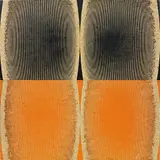 Michael DeLucia, Untitled (Black Orange), 2011, acrylic on plywood, in two parts