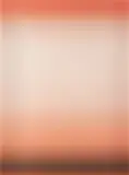 Roe Ethridge, Dust Cover, 2008, chromogenic print