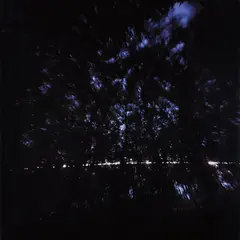 Canopy by Susan Derges, 1999, cibachrome photogram, offered Apr 2015