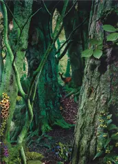 Study in Green #1 by Ruud van Empel, 2003, Cibachrome, sold Apr 2015