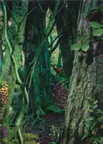 Ruud van Empel, Study in Green #1