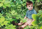 Ruud van Empel, Untitled #6