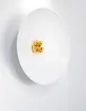 Joseph Klibansky, Parallel Universe, 2014, acrylic dish, stereolithography, double 24 karat gold leaf