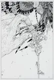 Ernesto Caivano, Digits and Pores, Petals and Philapores, 2009, ink, graphite on paper