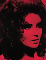 Elizabeth Taylor by Russell Young, 2008, enamel screenprint, acrylic on linen, offered Apr 2015