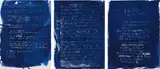 Dario Robleto, The Sun Makes Them Sing Again, 1998, 2008, cyanotype, sunlight, ghost image on paper, in three parts