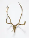 Sherrie Levine, Caribou Skull, 2006, cast bronze