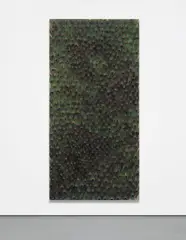 Carol Bove, Untitled, 2008, peacock feathers on linen