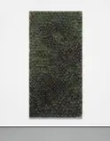 Carol Bove, Untitled, 2008, peacock feathers on linen