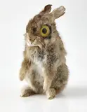 Maurizio Cattelan, Richard