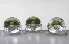 Ólafur Elíasson, Untitled, 2002, 3 aluminium reflectors, cacti, terracotta pots, foil and soil