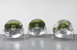Ólafur Elíasson, Untitled, 2002, 3 aluminium reflectors, cacti, terracotta pots, foil and soil
