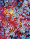 M122/105 from Biopsy Series 2 by Damien Hirst, 2008, inkjet, UV ink, household gloss, glass, scalpel blades, flocking, religious trinkets on canvas, offered Jun 2015