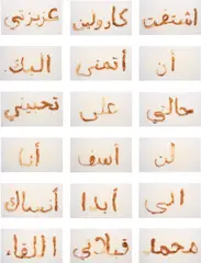 Wim Delvoye, Love Letter Dear Caroline, 2000, 18 cibachrome prints