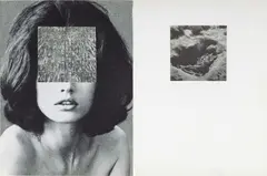 Carol Bove, Seeds, 2007, collage